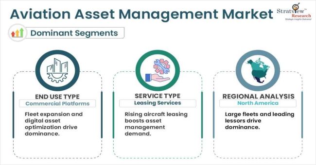 Aviation Asset Management Segments